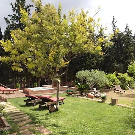 In Nature With Yoga Room, Peace And Tranquility * Puigpunyent (Mallorca)